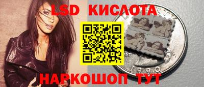 винт Шебекино