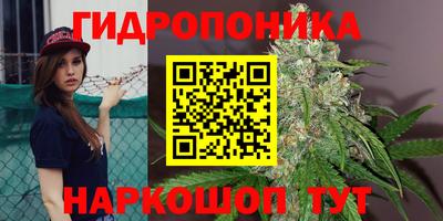 эйфоретик Шелехов